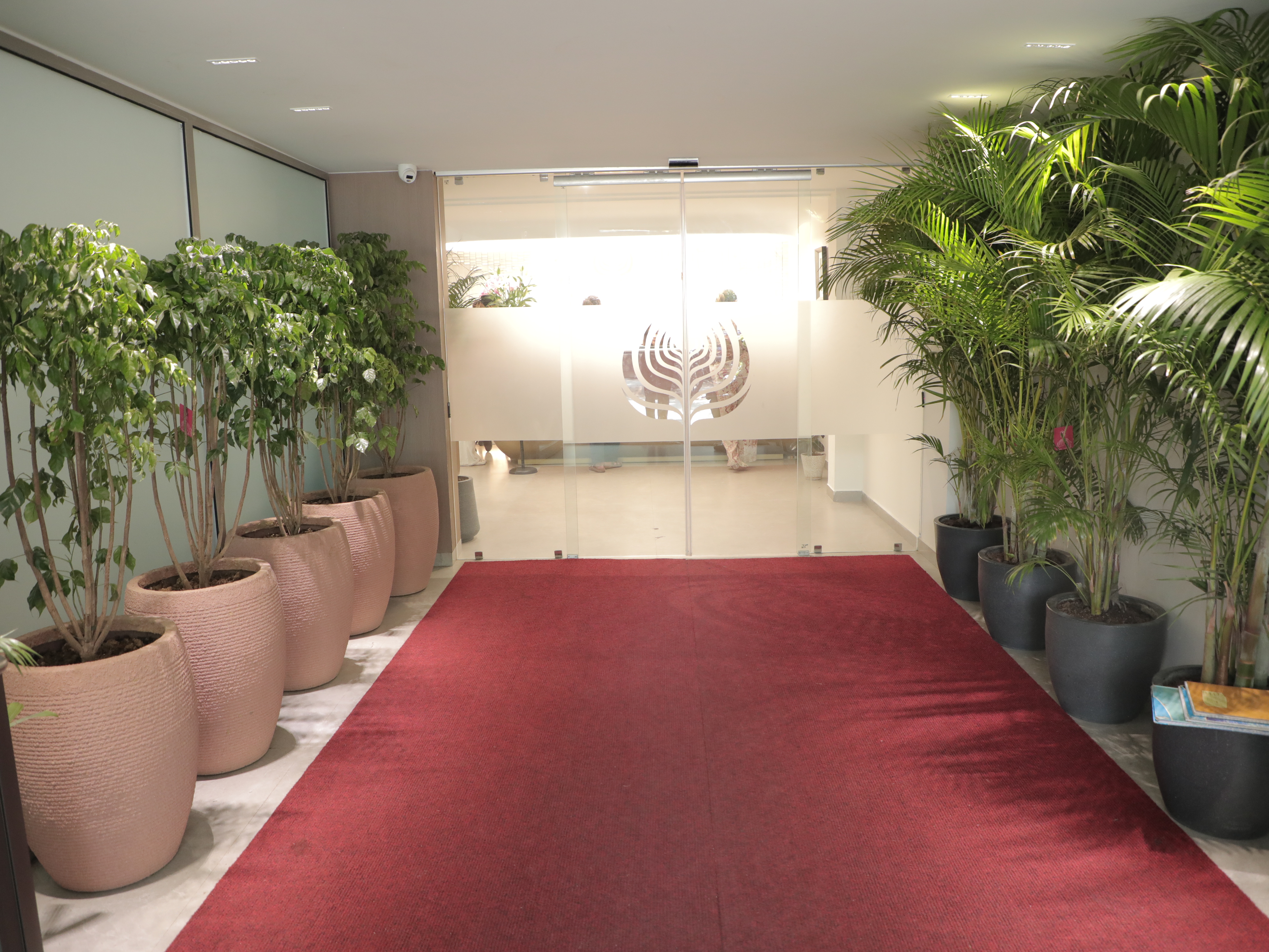 hair transplant in delhi