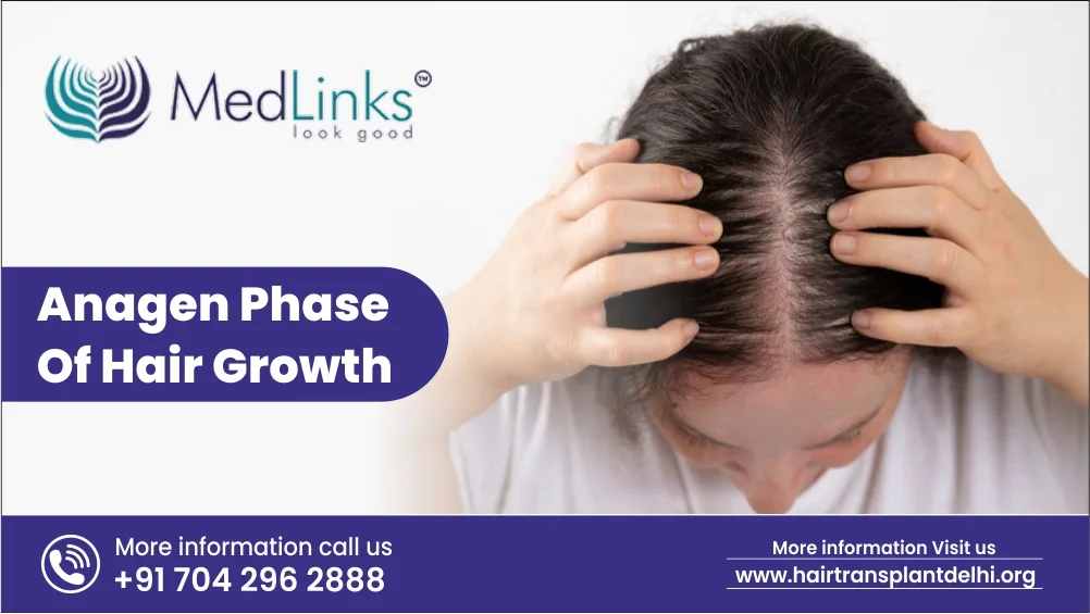 Anagen Phase of Hair Growth